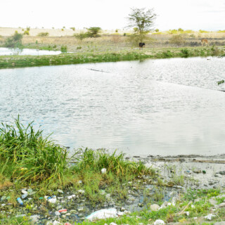The only sewage treatment plant in Kajiado County is only found in New Kaputei Town that serves the residents